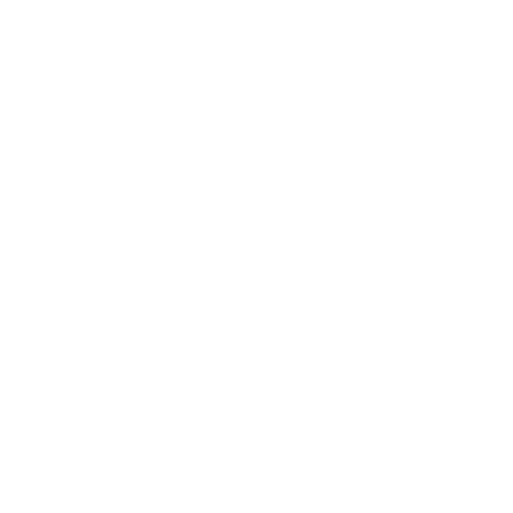 DS